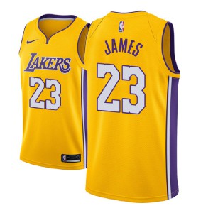 LeBron James Los Angeles Lakers NBA 2018-19 Edition Men's #23 Icon Jersey - Gold 322991-166