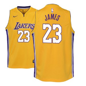 LeBron James Los Angeles Lakers NBA 2018-19 Edition Youth #23 Icon Jersey - Gold 945870-593