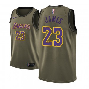LeBron James Los Angeles Lakers Black Military Fashion Swingman Men's #23 Military Camo Fashion Jersey - Camo 534190-540