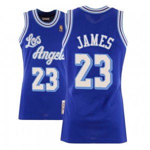 LeBron James Los Angeles Lakers Swingman Men's #23 Hardwood Classics Jersey - Blue 334169-839