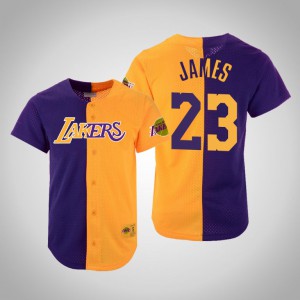 LeBron James Los Angeles Lakers Mitchell & Ness Hardwood Classics Men's #23 Split Mesh Button Jersey - Purple Gold 966188-546
