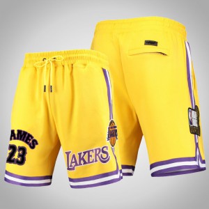 LeBron James Los Angeles Lakers Basketball Men's #23 Pro Standard Shorts - Gold 812783-246