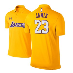 LeBron James Los Angeles Lakers Edition Player Performance Men's #23 Icon Polo - Gold 408959-721
