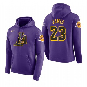 LeBron James Los Angeles Lakers 2018 Edition Men's #23 City Hoodie - Purple 949194-342