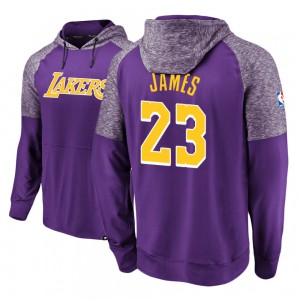 LeBron James Los Angeles Lakers Raglan Pullover Men's #23 Made to Move Hoodie - Purple 271412-374