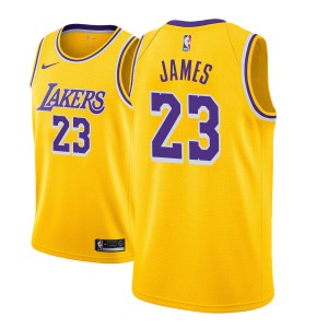 Lebron James Los Angeles Lakers 2018-19 Edition Men's #23 Icon Jersey - Gold 157641-744