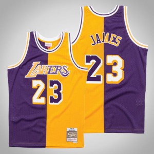 LeBron James Los Angeles Lakers 1996-97 Hardwood Classics Men's #23 Split Jersey - Purple Gold 830551-416