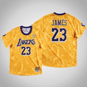 LeBron James Los Angeles Lakers Swingman Classic Men's #23 AAPE x Mitchell Ness Jersey - Gold 927032-116