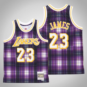 LeBron James Los Angeles Lakers Swingman Hardwood Classics jersey Men's #23 Private School Jersey - Purple 849465-425