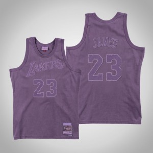 LeBron James Los Angeles Lakers 1984-85 Swingman Mitchell & Ness Men's #23 Washed Out Jersey - Purple 608825-981