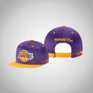Los Angeles Lakers Adjustable Snapback Men's Woven Stripe Hat - Purple 110572-320