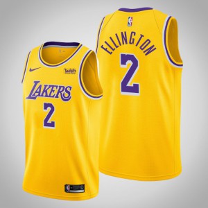 Wayne Ellington Los Angeles Lakers Edition Men's Icon Jersey - Gold 553354-375