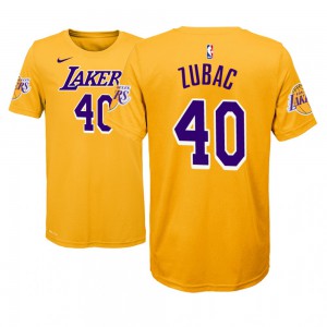 Ivica Zubac Los Angeles Lakers 2018-19 Edition Name & Number Youth #40 Icon T-Shirt - Gold 976124-741