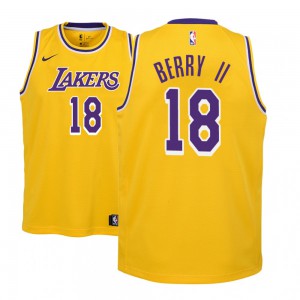 Joel Berry II Los Angeles Lakers 2018-19 Edition Youth #18 Icon Jersey - Gold 896592-678