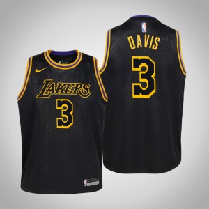 Anthony Davis Los Angeles Lakers City Youth #3 Mamba Edition Jersey - Black 251946-683