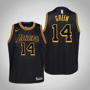 Danny Green Los Angeles Lakers City Youth #14 Mamba Edition Jersey - Black 176590-907