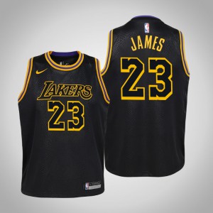 LeBron James Los Angeles Lakers City Youth #23 Mamba Edition Jersey - Black 209497-591