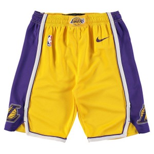 Los Angeles Lakers Edition Swingman Basketball Youth Icon Shorts - Purple 169806-264