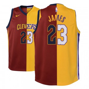 LeBron James Los Angeles Lakers NBA 2018-19 Split Youth #23 Fashion Jersey - Maroon Gold 849035-760