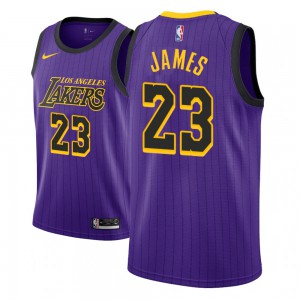 LeBron James Los Angeles Lakers NBA 2018-19 Edition Youth #23 City Jersey - Purple 523264-981