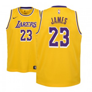 Lebron James Los Angeles Lakers 2018-19 Edition Youth #23 Icon Jersey - Gold 757862-114