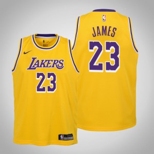 Lebron James Los Angeles Lakers Youth #23 Icon Jersey - Gold 417569-253